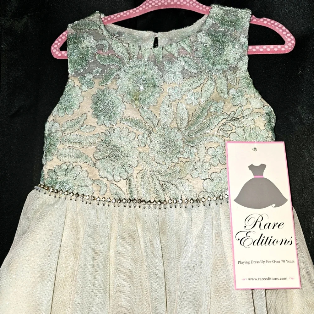 Rare editions 3t lace mint Sequin Applique tulle dress Nye